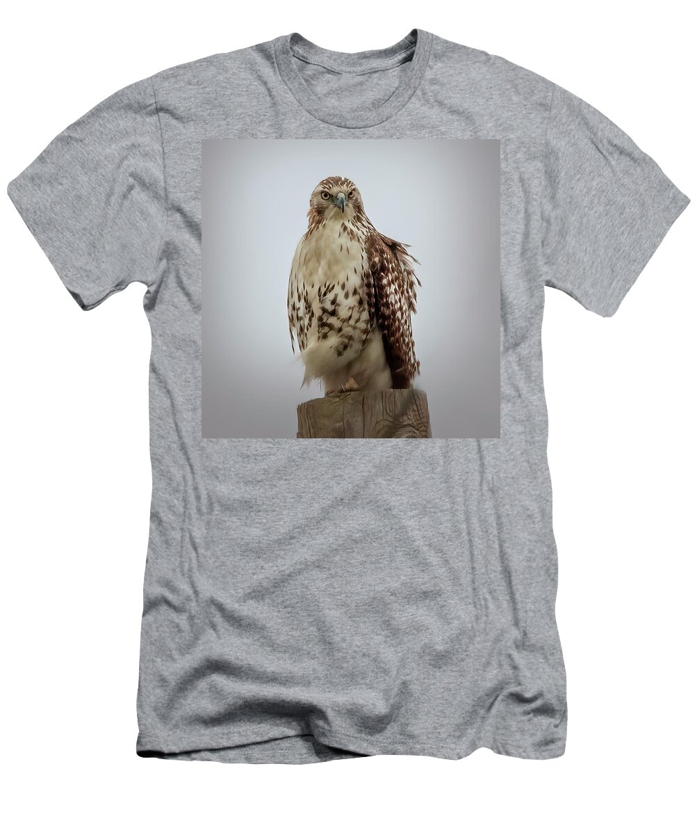 Nature T-Shirt featuring the photograph Red Tailed Hawk by JASawyer Imaging
