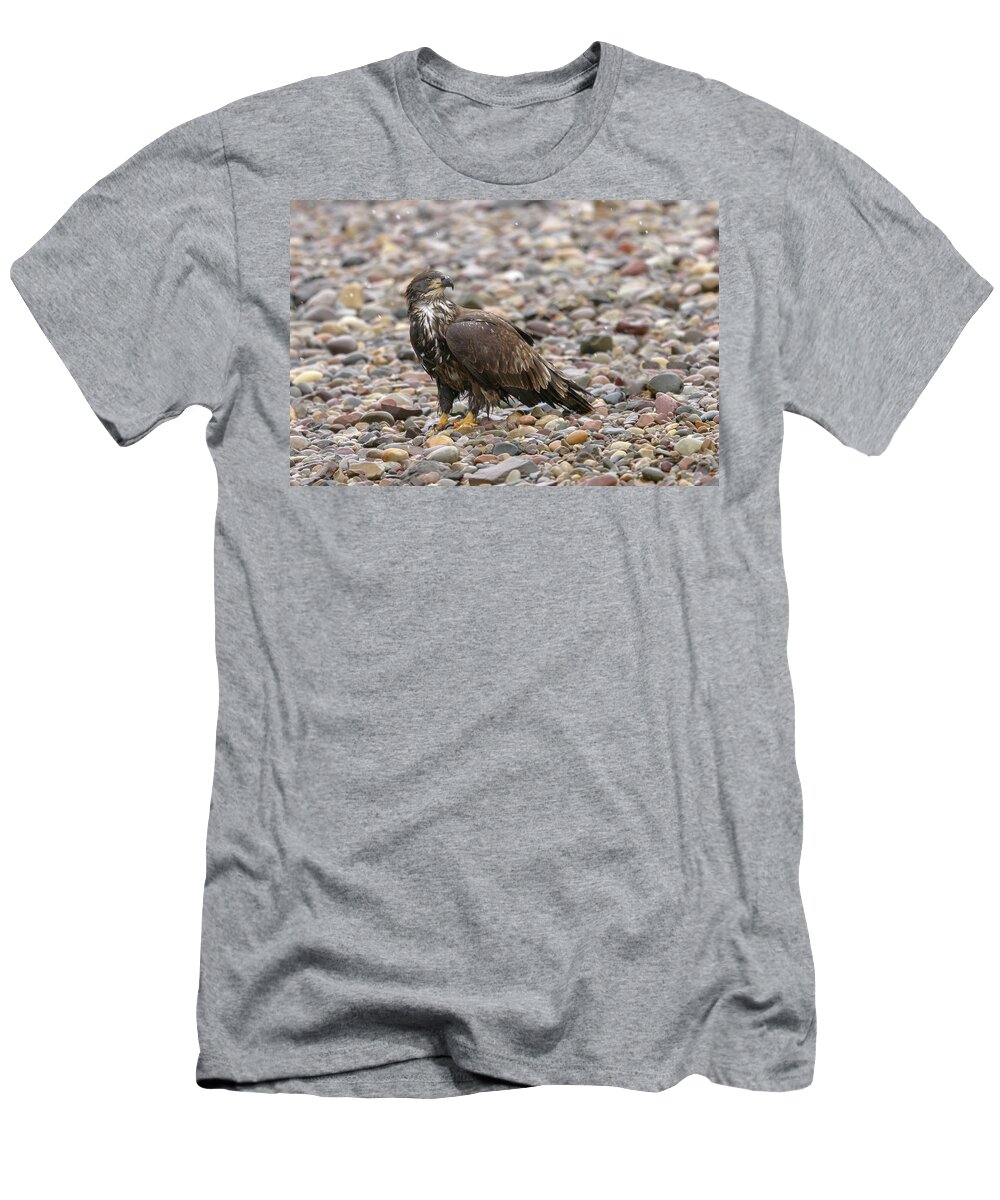 Eagle T-Shirt featuring the photograph River Bed by Ronnie And Frances Howard