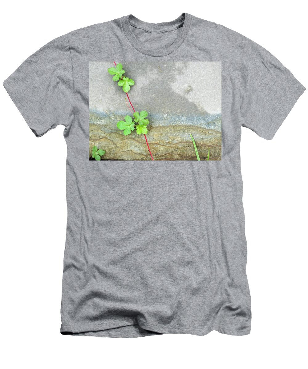 Duane Mccullough T-Shirt featuring the photograph Rock Stain Abstract 4 by Duane McCullough