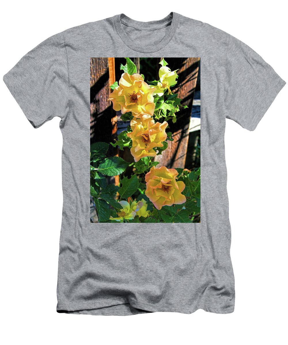 Rose T-Shirt featuring the photograph Rosy Sunrise by Alana Thrower
