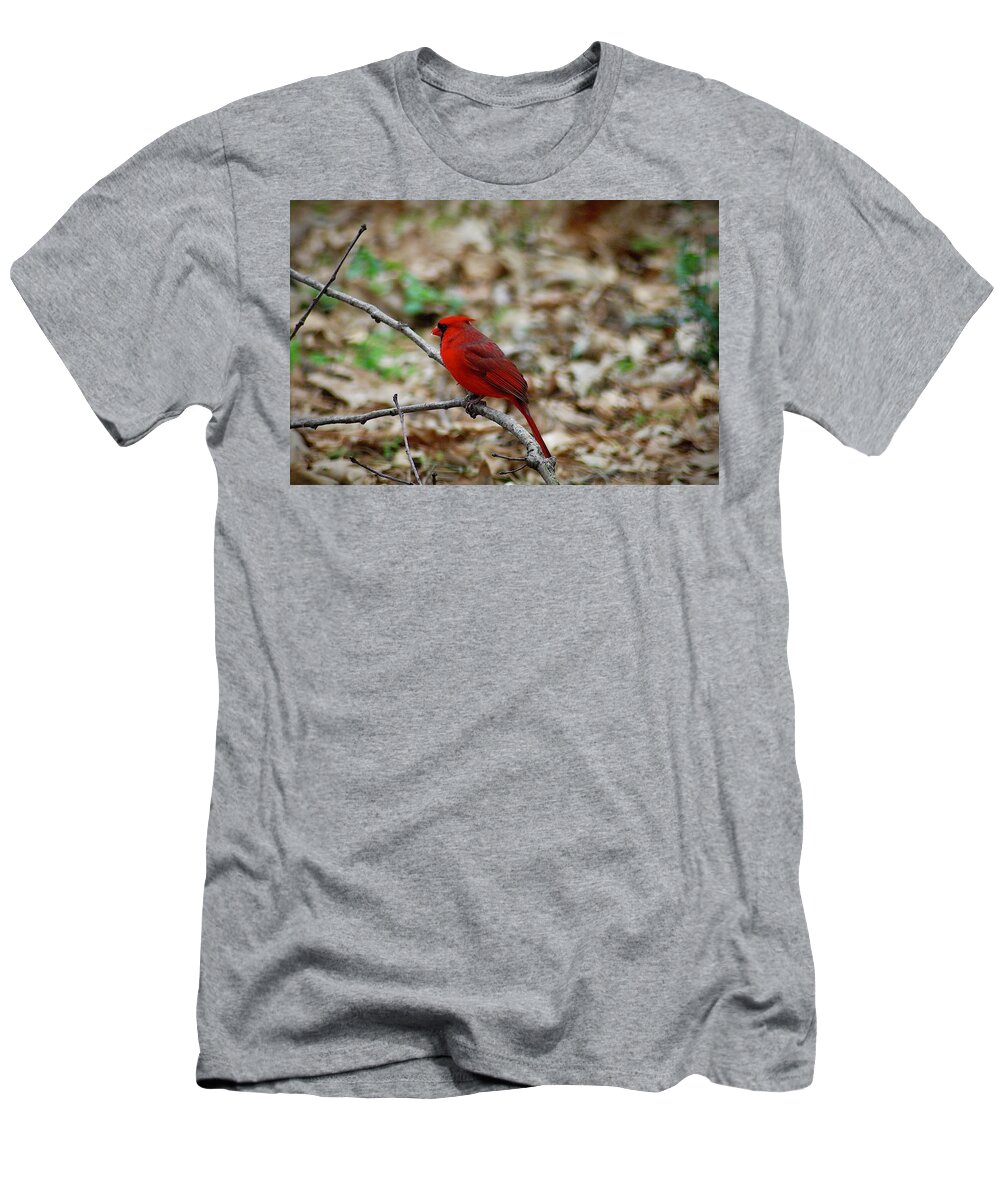 Bird T-Shirt featuring the photograph Rudy by DArcy Evans