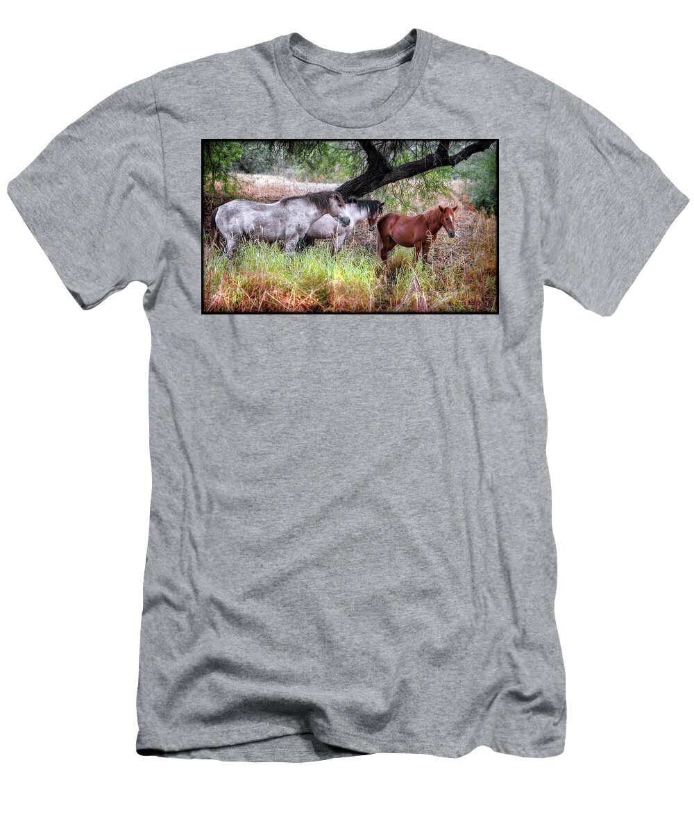 Horses T-Shirt featuring the photograph Salt River Wild Horses by Elaine Malott