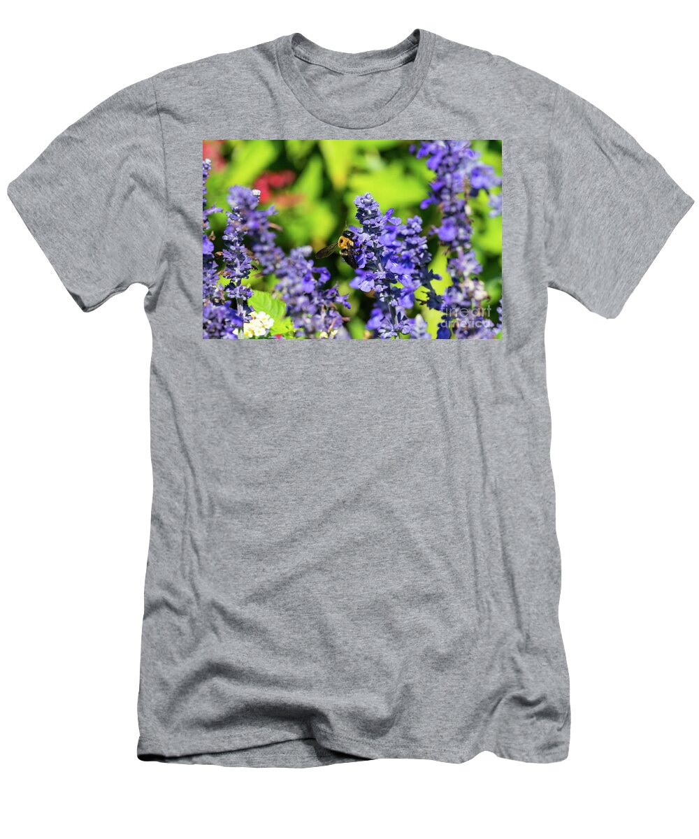Bumblebee T-Shirt featuring the photograph Salvia With Bumblebee by Jennifer White