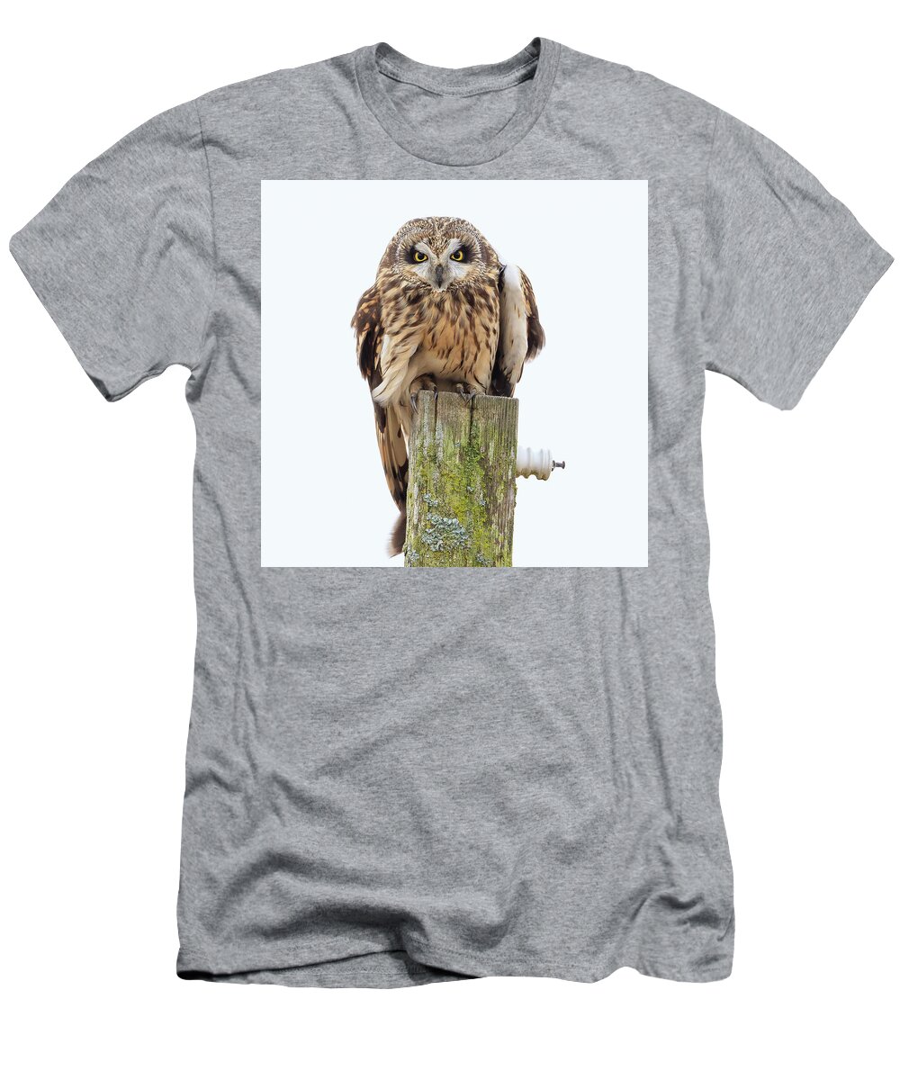 Seo T-Shirt featuring the photograph Scowling Owl by Briand Sanderson