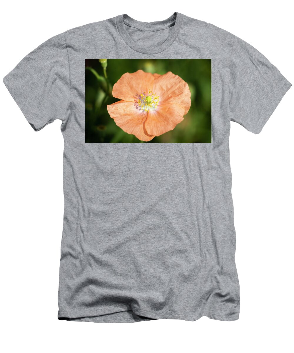 Shirley Poppy T-Shirt featuring the photograph Shirley Poppy 2018-17 by Thomas Young