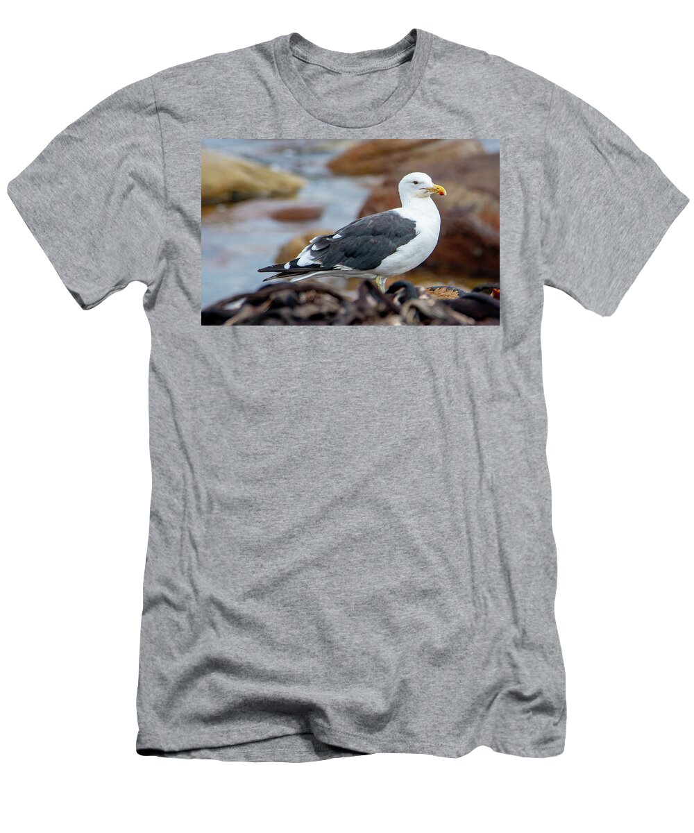 Herring Gull T-Shirt featuring the photograph Shore Keeper by Marcy Wielfaert