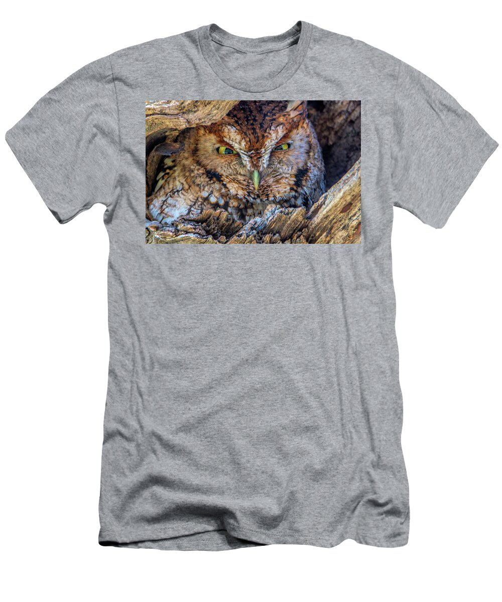 Eastern Screech Owl T-Shirt featuring the photograph Shy Screech Owl by Douglas Wielfaert