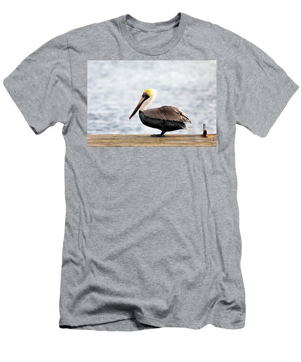 Pelican T-Shirt featuring the photograph Sitting on the Dock of the Bay by Susan Rissi Tregoning