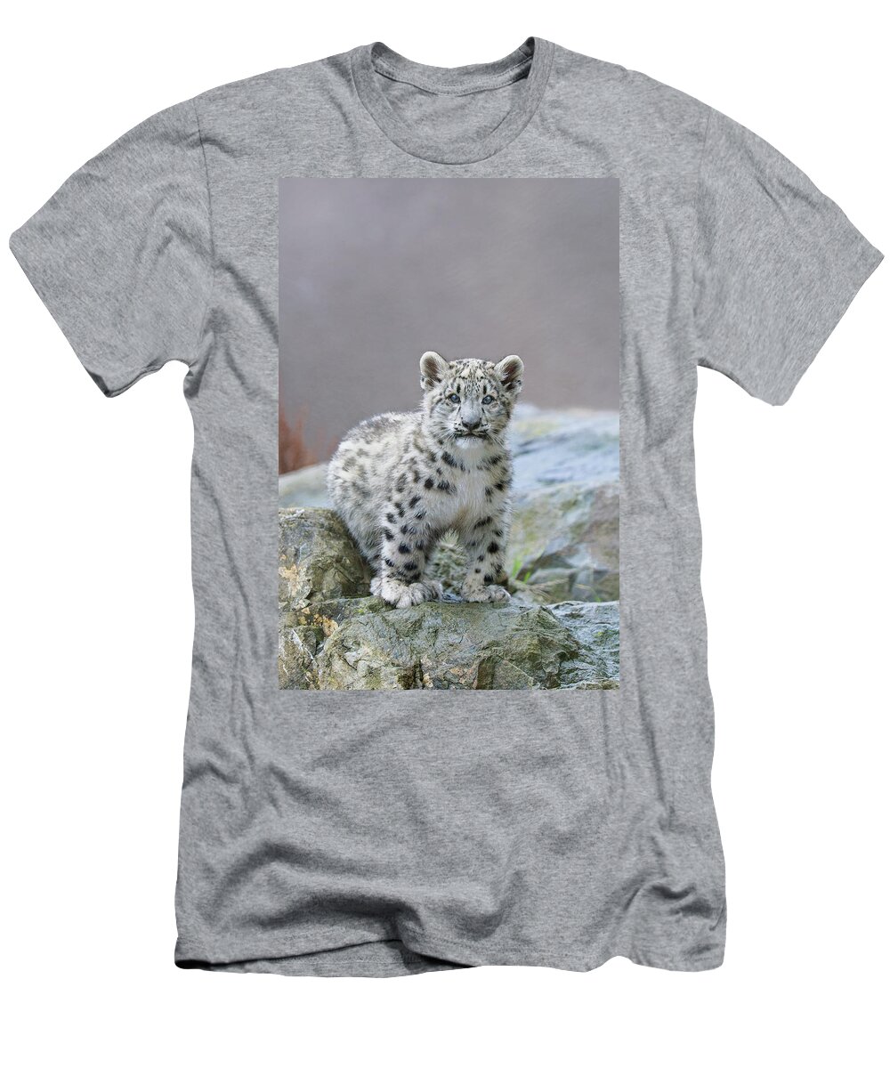 Suzi Eszterhas T-Shirt featuring the photograph Snow Leopard Cub by Suzi Eszterhas