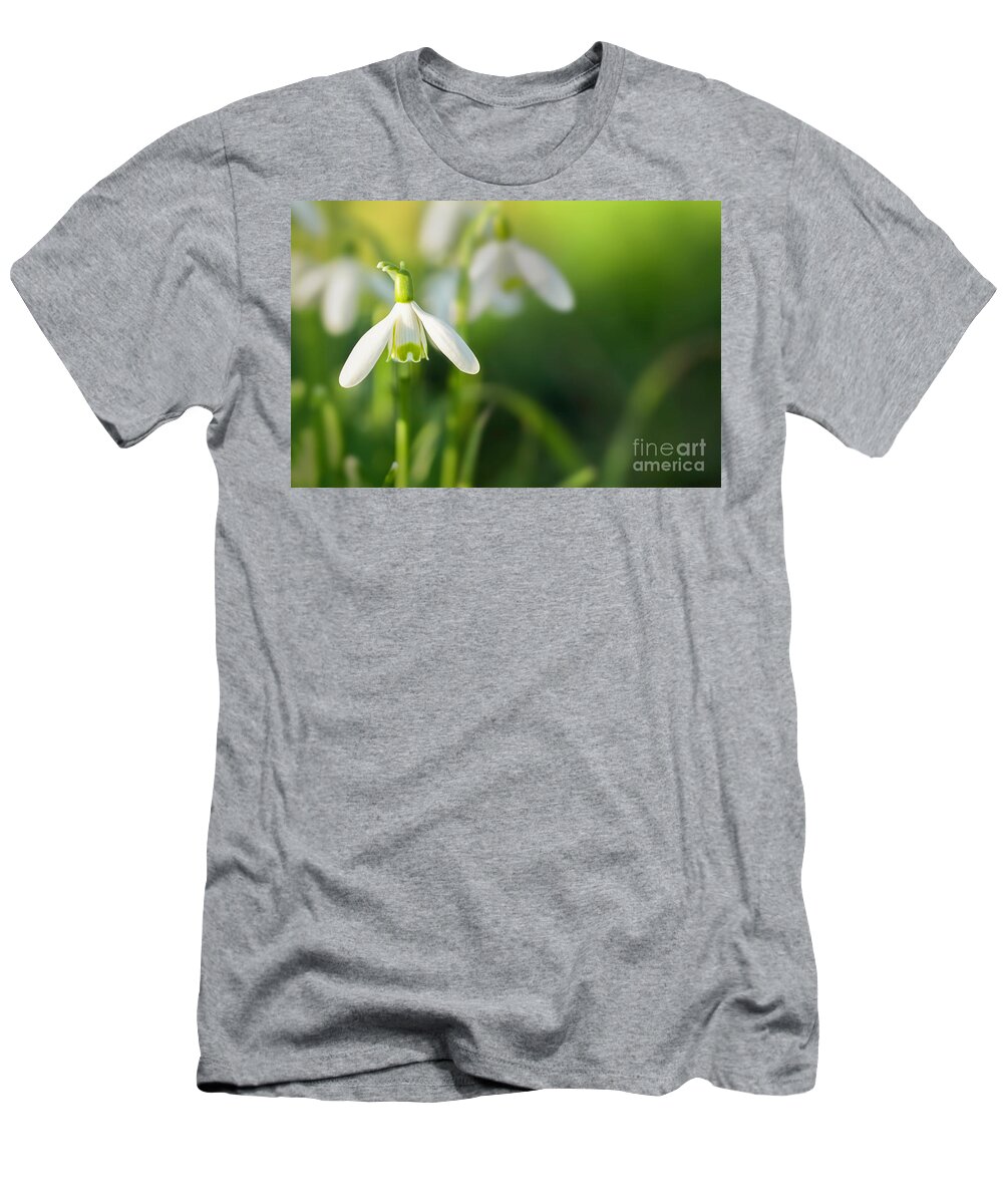 Snowdrops T-Shirt featuring the photograph Snowdrops at eye level with copy space by Simon Bratt