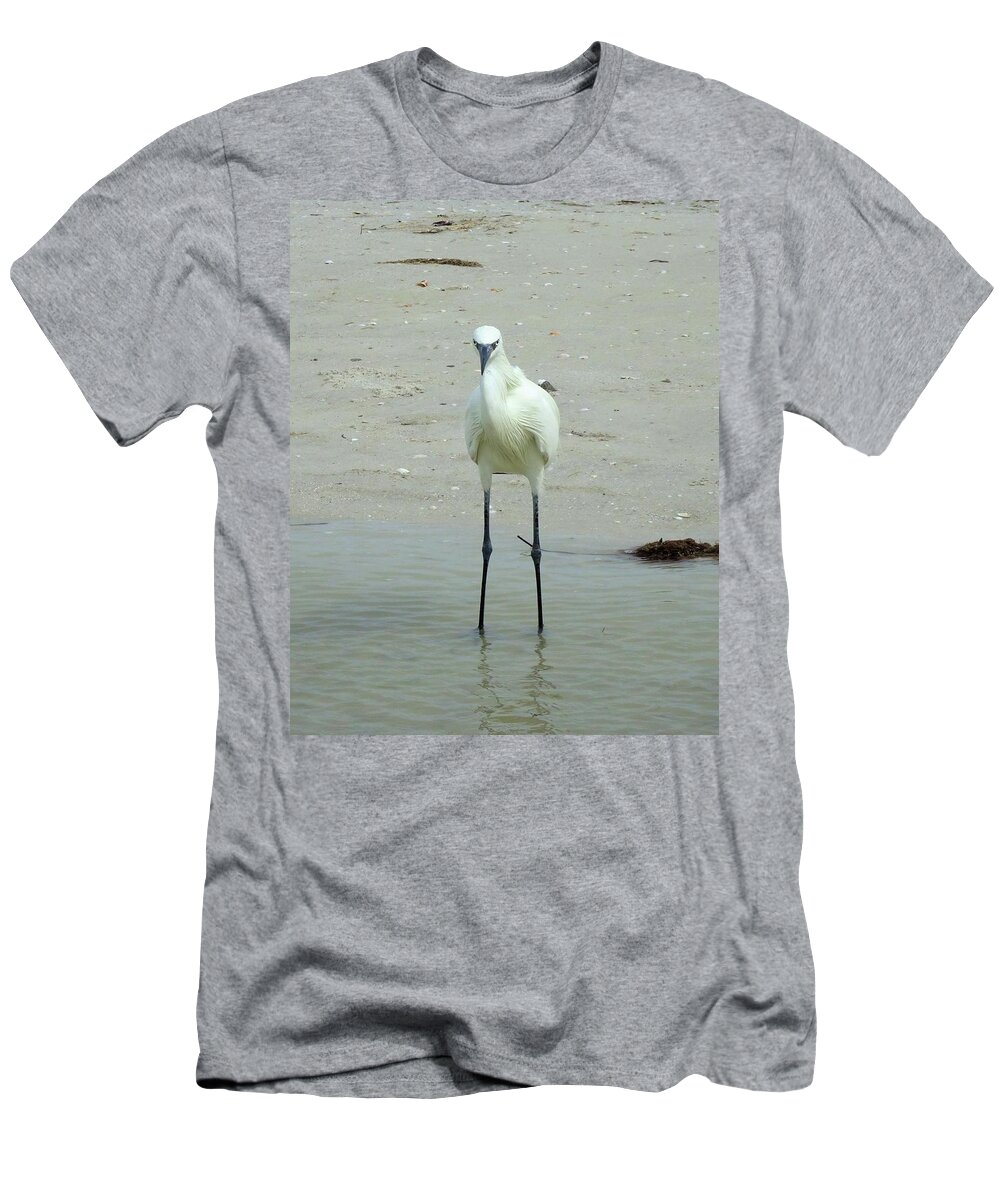 Birds T-Shirt featuring the photograph Snowy Egret by Karen Stansberry