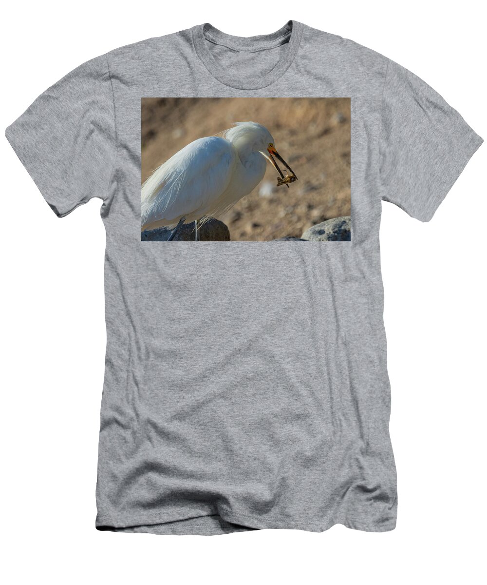 Snowy White Egret T-Shirt featuring the photograph Snowy White Egret 3 by Rick Mosher
