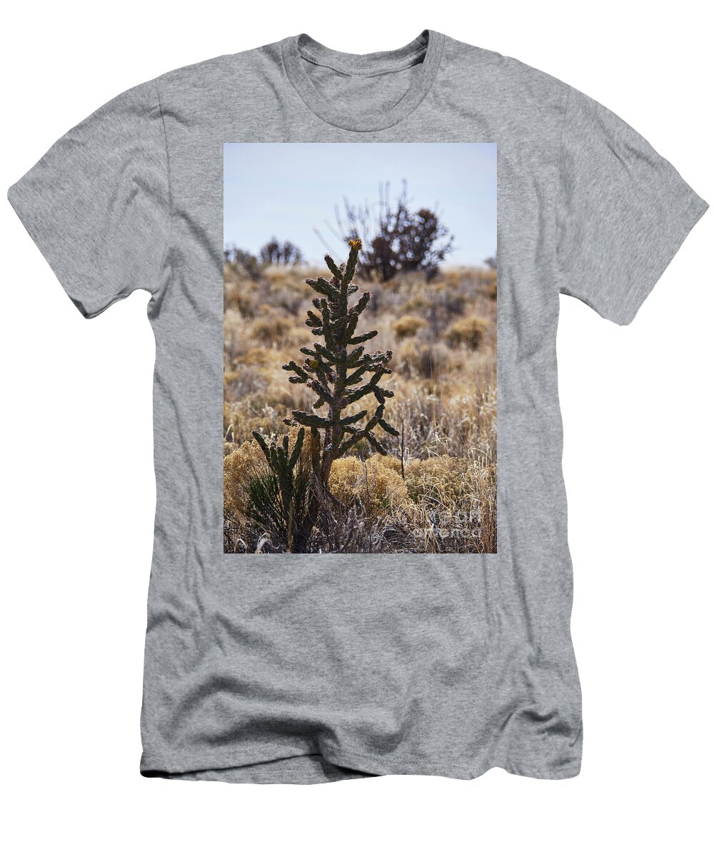 New Mexico Desert T-Shirt featuring the photograph Southwest Desert Scene by Robert WK Clark