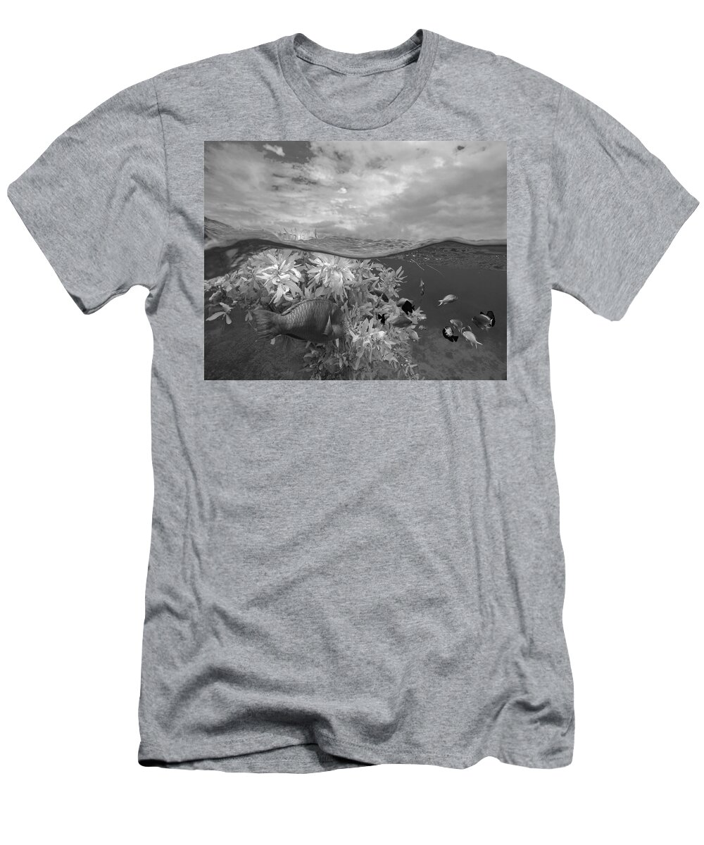 Disk1215 T-Shirt featuring the photograph Split View Of Reef Fish by Tim Fitzharris