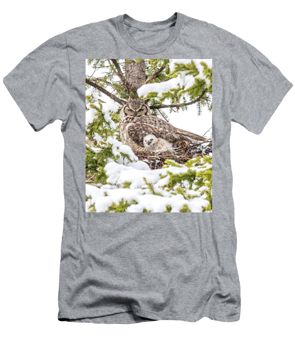 Airport T-Shirt featuring the photograph Spring Caregiver by Kevin Dietrich