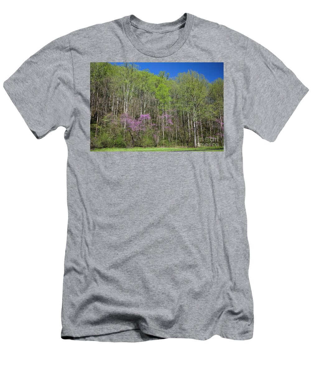 Spring In Great Smoky Mountains National Park T-Shirt featuring the photograph Spring In Great Smoky Mountains National Park 2 by Felix Lai