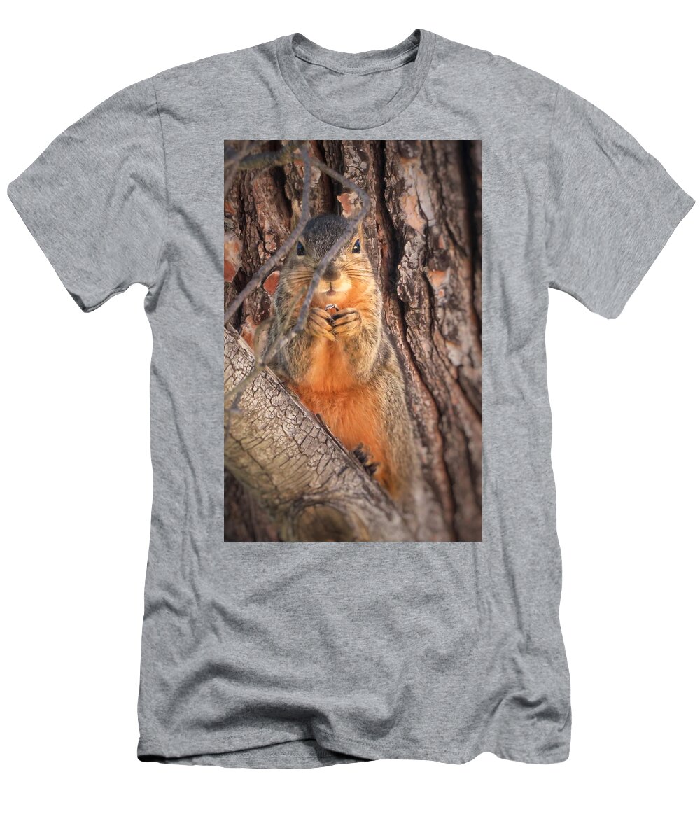 Squirrel T-Shirt featuring the photograph Squirrel eating in tree by David Zumsteg