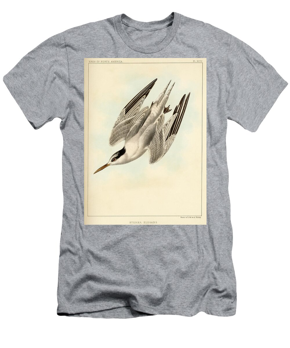 Birds T-Shirt featuring the mixed media Sterna Elegans by Bowen and Co lith and col Phila