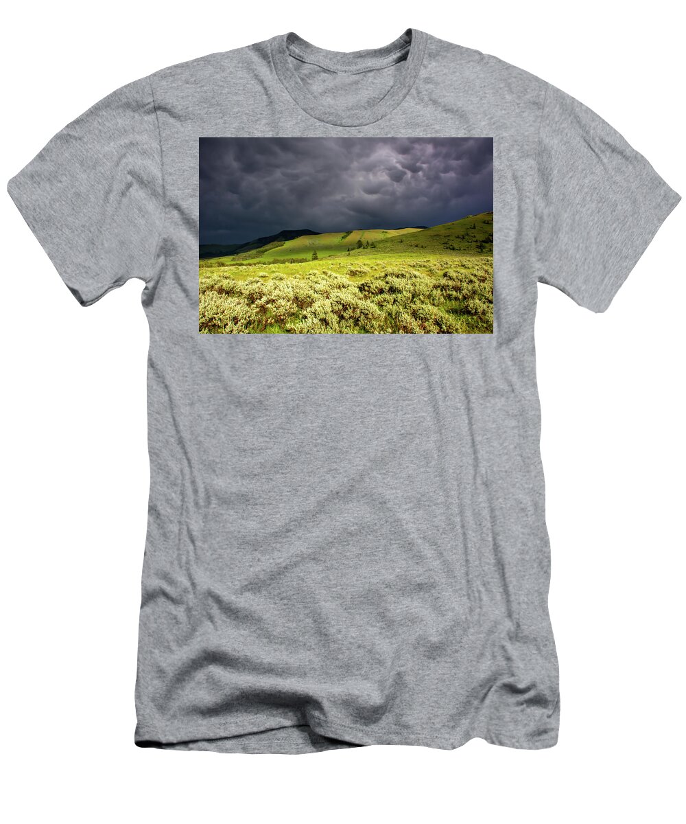 Storm T-Shirt featuring the photograph Storm over Tom Miner Basin by Douglas Wielfaert