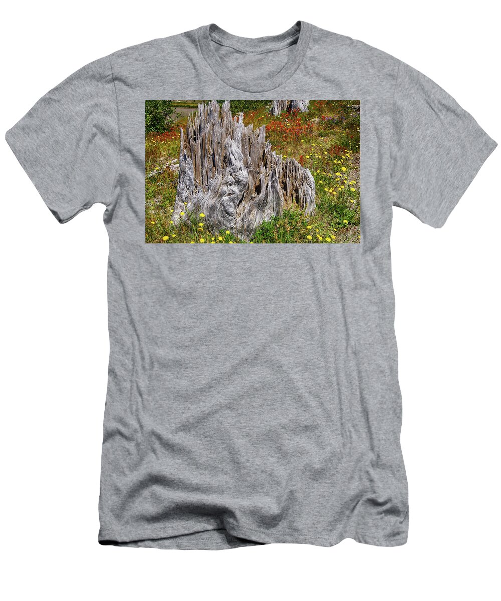 1980 T-Shirt featuring the photograph Stumps of trees shattered in the 1980 eruption by Steve Estvanik