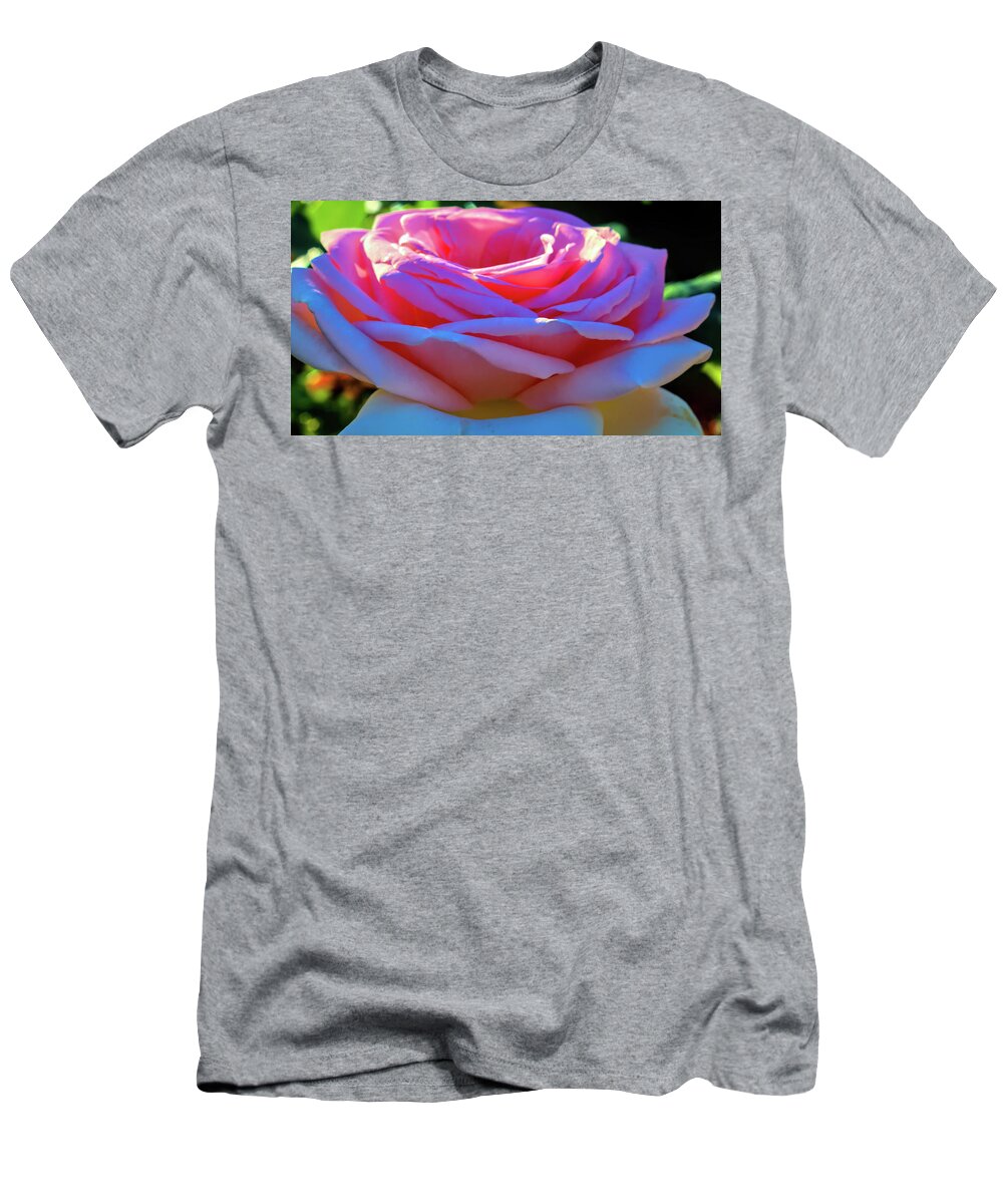Blossom T-Shirt featuring the photograph Sun on my Pink Roses by Cathy Anderson