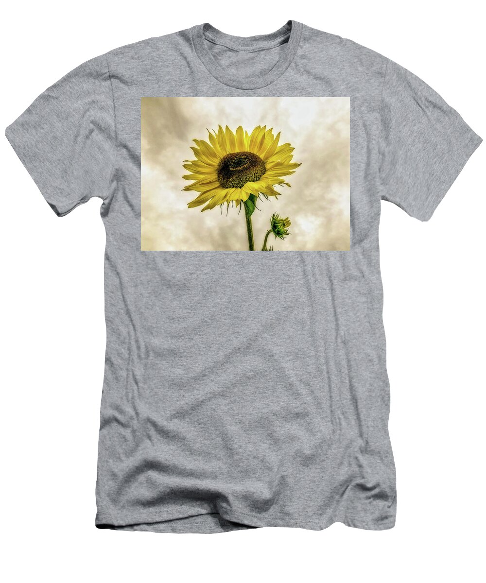 Sunflower T-Shirt featuring the photograph Sunflower by Anamar Pictures