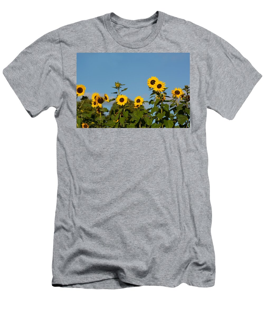 Nature T-Shirt featuring the photograph Sunflower Lineup by Douglas Wielfaert