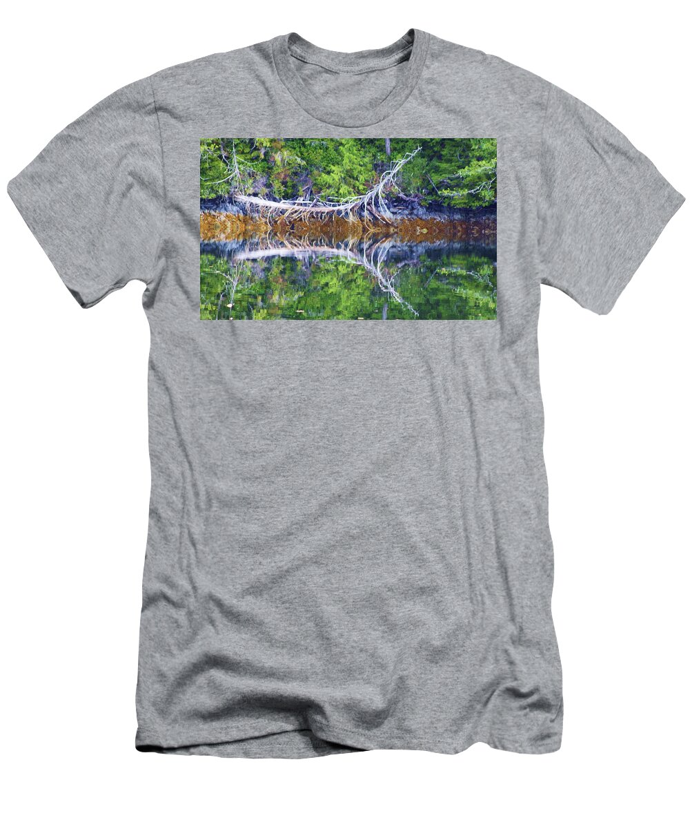 Reflection T-Shirt featuring the photograph Symmetry by Fred Bailey