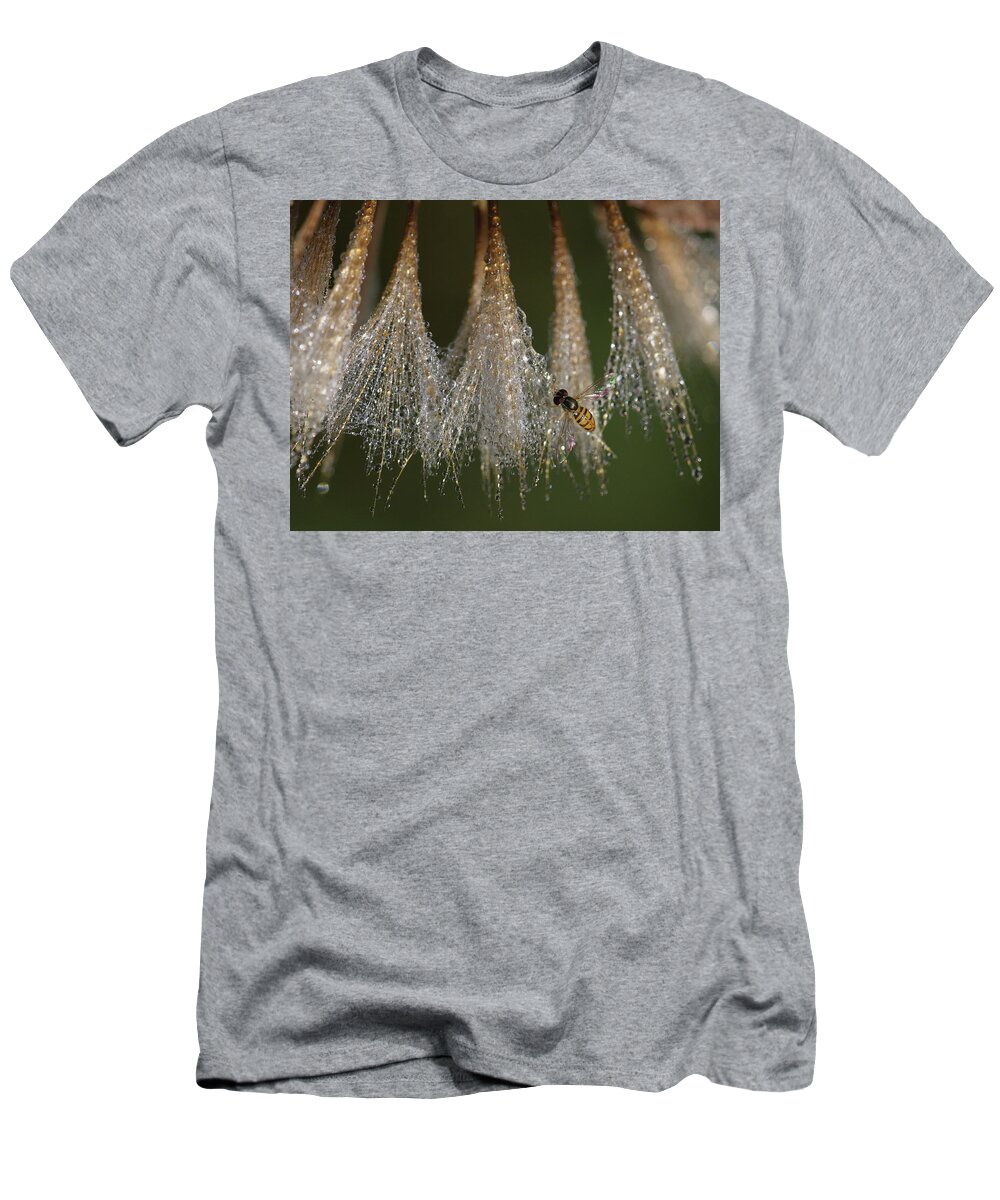 Syrphid Fly T-Shirt featuring the photograph Syrphid Fly On A Dewy Morn by Daniel Reed