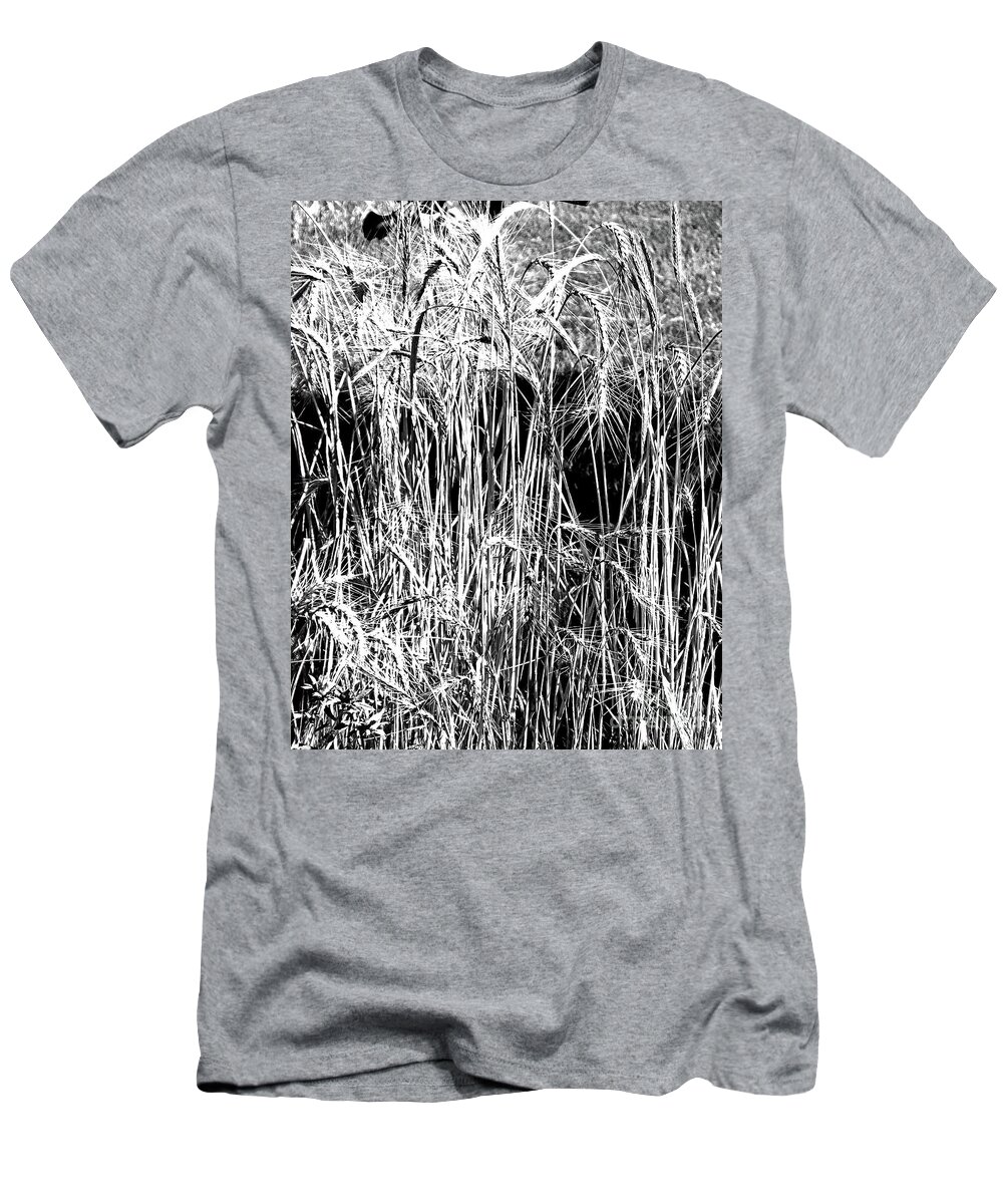 Black White Image T-Shirt featuring the photograph The Bird's Wheat Patch by Lizi Beard-Ward