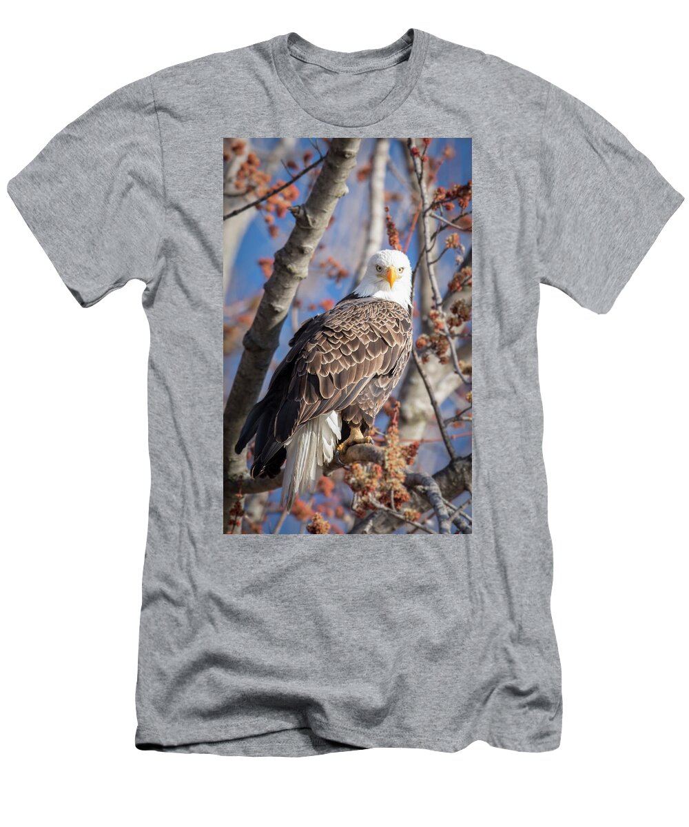 Bald Eagle T-Shirt featuring the photograph The Eyes by Laura Hedien