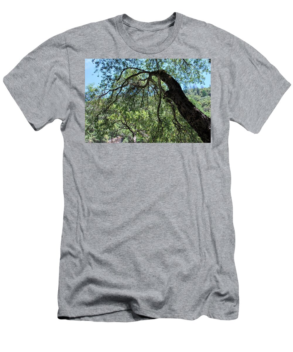 Tree T-Shirt featuring the photograph The Hanging Around Tree by Matt Quest