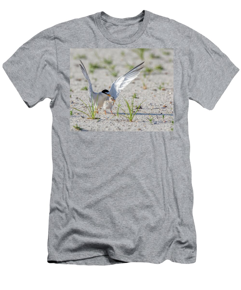 Bird T-Shirt featuring the photograph The Littlest Thief 2 by Susan Rissi Tregoning