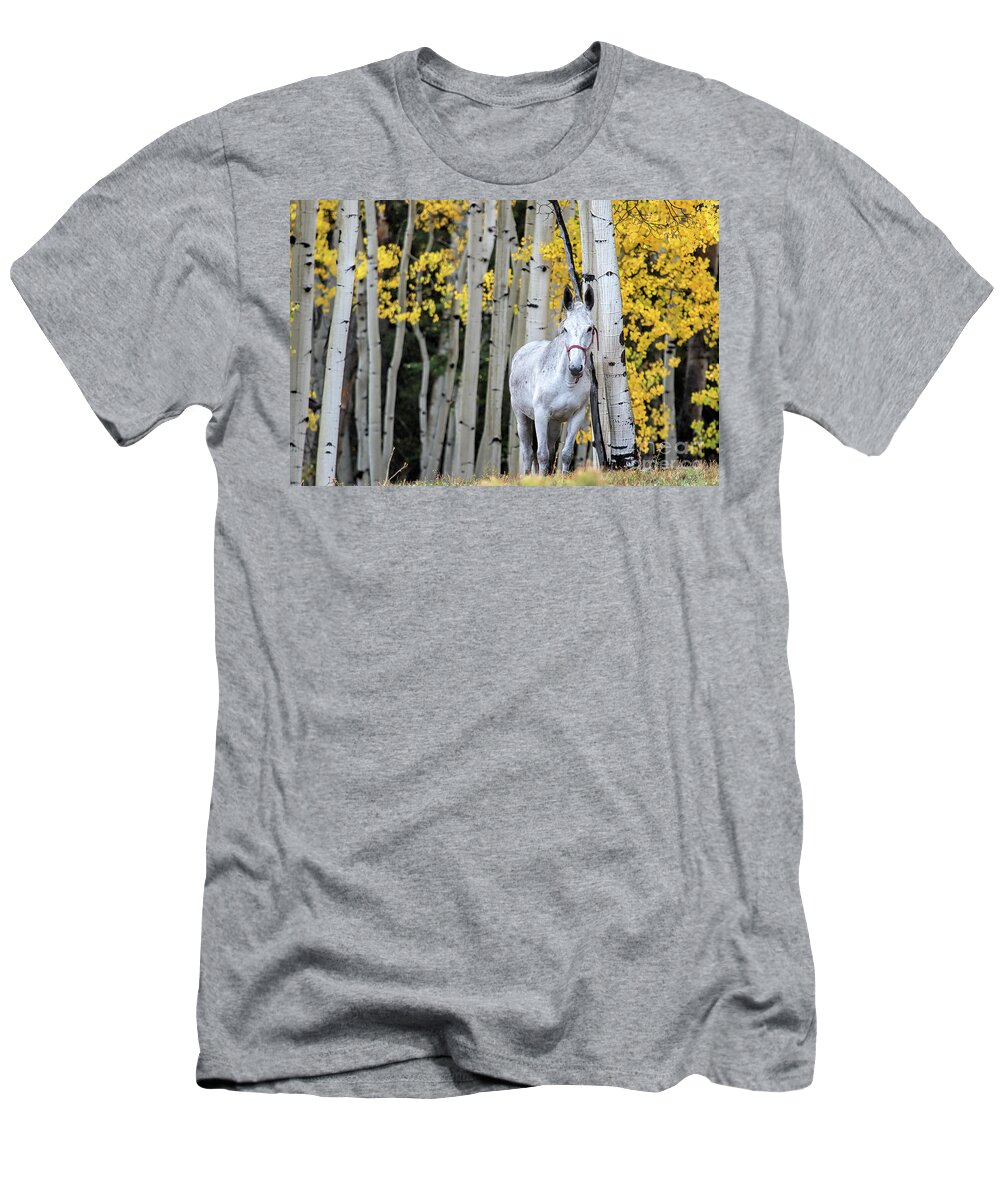 Aspen T-Shirt featuring the photograph The Old Gray Mule by Jim Garrison