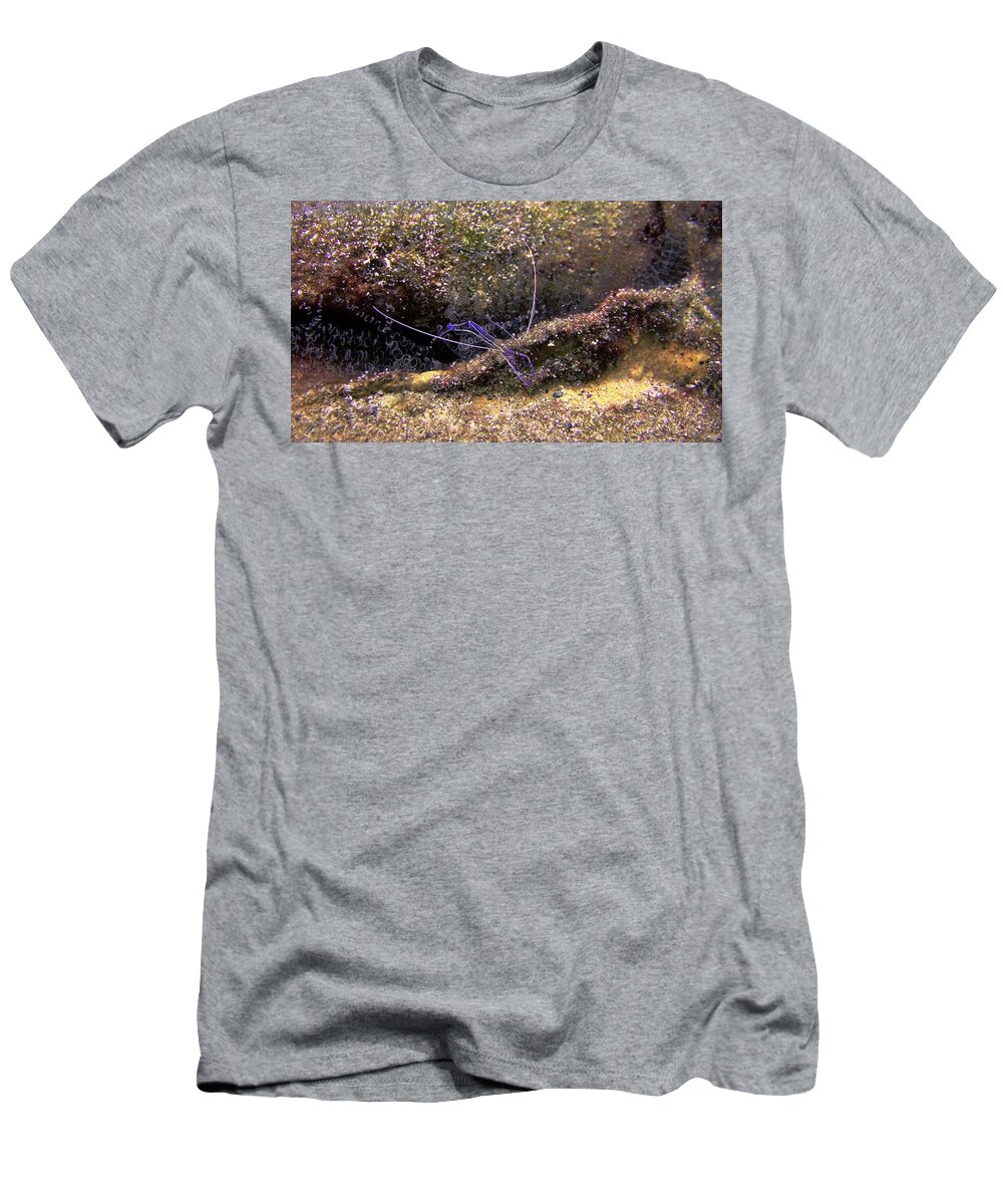 Ancylomenes Pedersoni T-Shirt featuring the photograph The Pederson Corkscrew by Climate Change VI - Sales