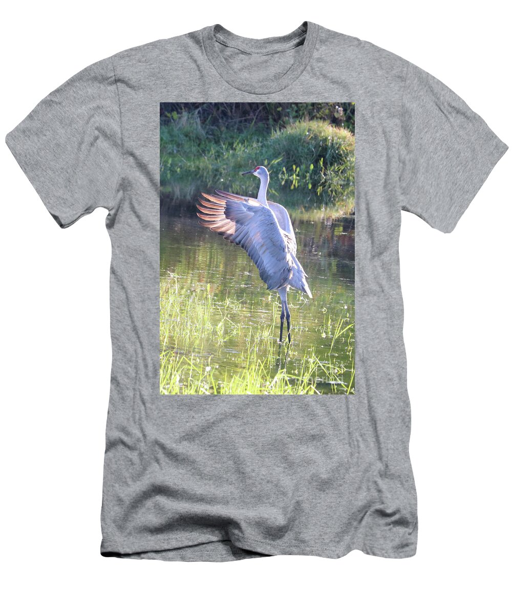 Florida Sandhill Crane T-Shirt featuring the photograph The Performer by Carol Groenen