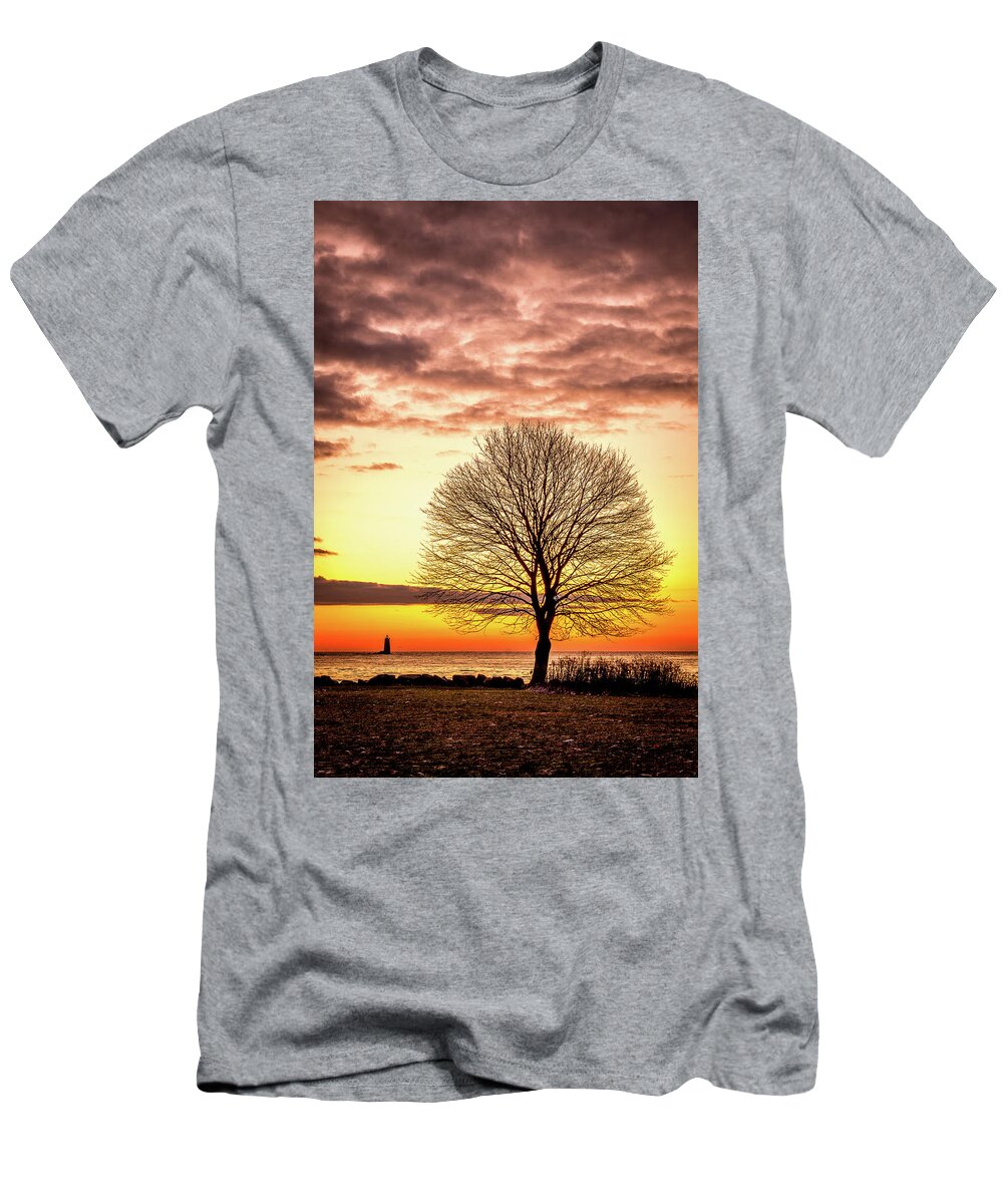 New Hampshire T-Shirt featuring the photograph The Tree by Jeff Sinon
