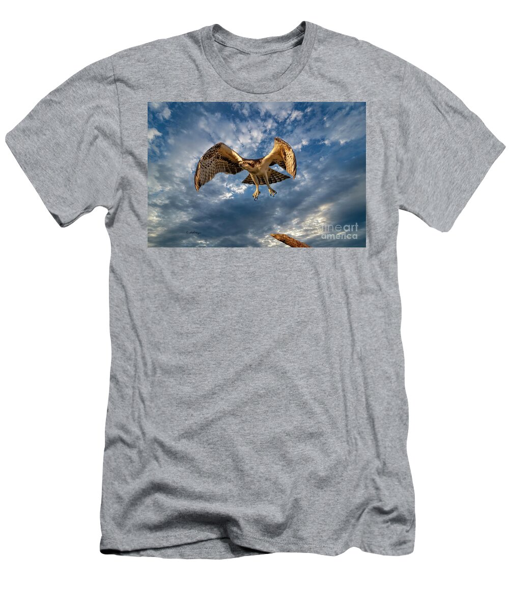 Ospreys T-Shirt featuring the photograph Time To Fly TWO by DB Hayes