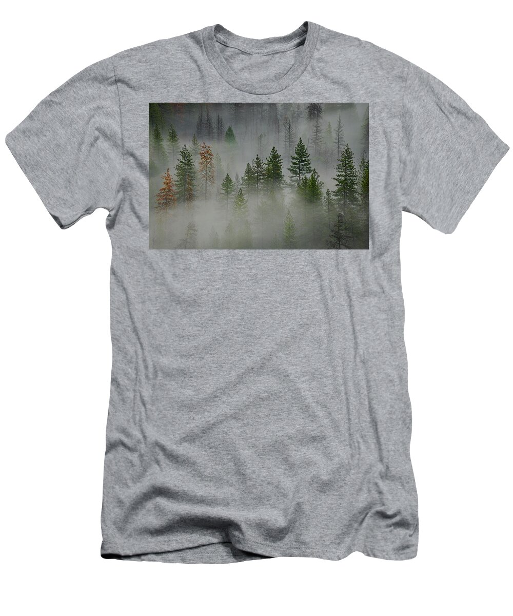 Forest T-Shirt featuring the photograph Trees in Yosemite by Jon Glaser
