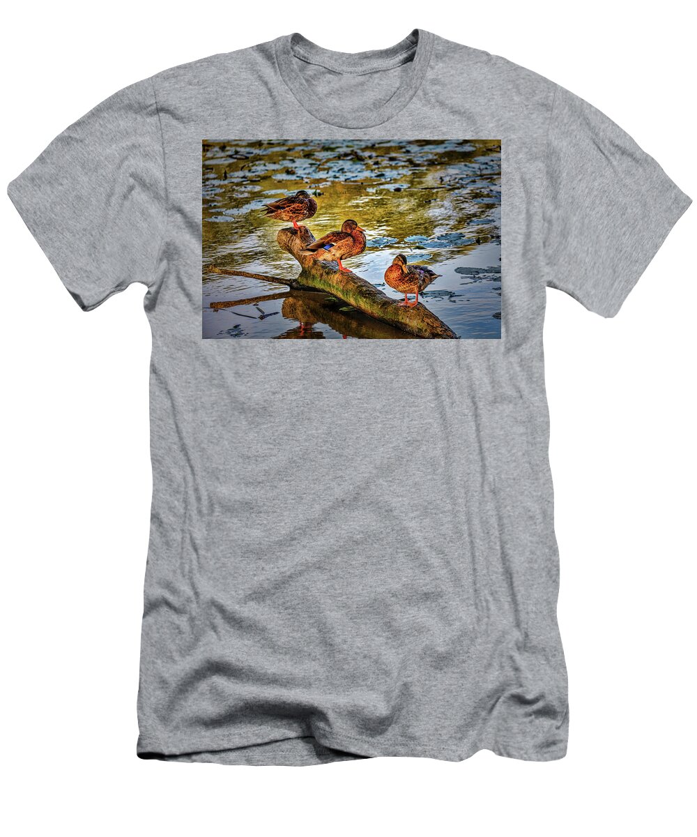 Leif Sohlman T-Shirt featuring the photograph Triple #h9 by Leif Sohlman