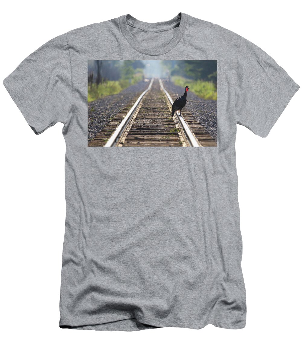 Wild Turkey T-Shirt featuring the photograph Turkey Tracks by Brook Burling