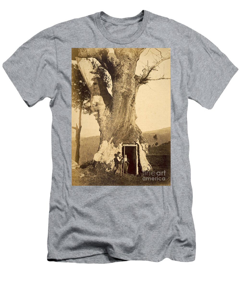 Tree T-Shirt featuring the photograph Two Boys At The Doorway Of Their Treehouse, C.1870-80 by American Photographer