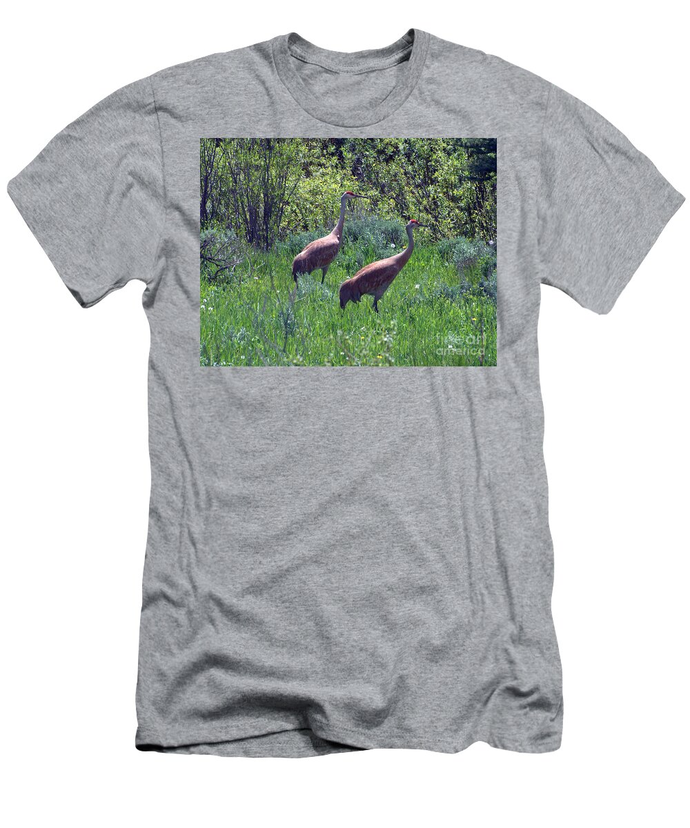 Sandhill Crane T-Shirt featuring the photograph Two of a Kind by Dorrene BrownButterfield
