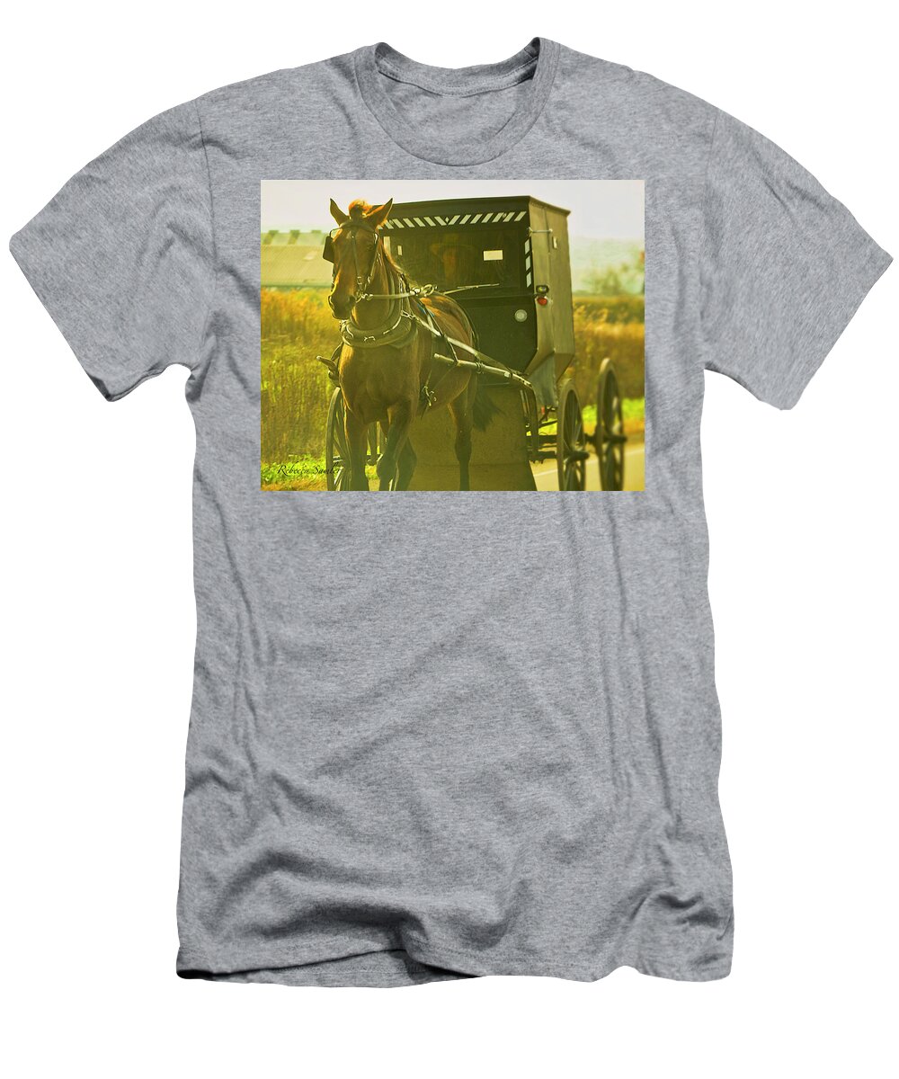 Amish T-Shirt featuring the photograph Two Ships Passing by Rebecca Samler