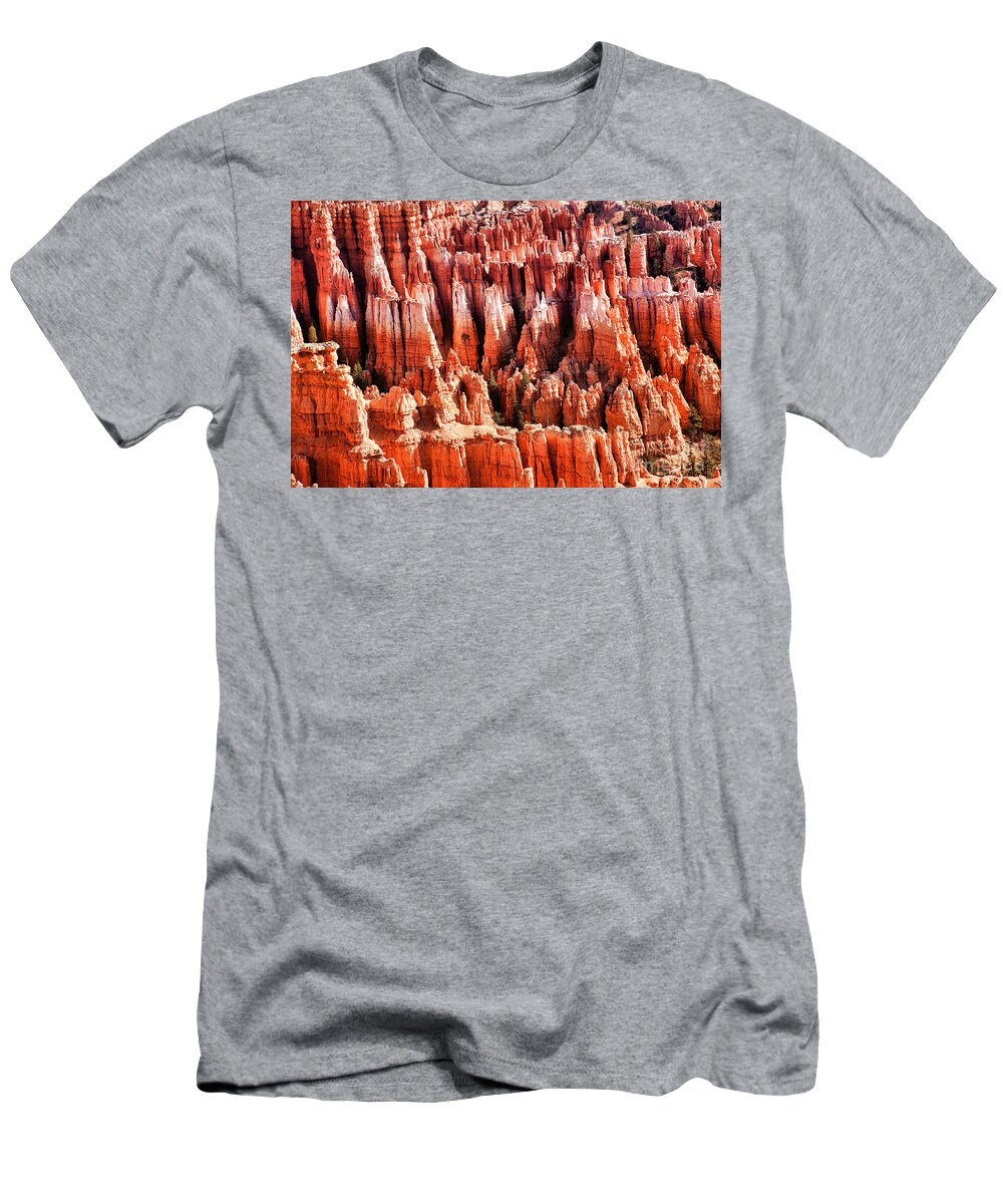 Bryce Canyon T-Shirt featuring the photograph Up Close Hoodoo's Utah by Chuck Kuhn