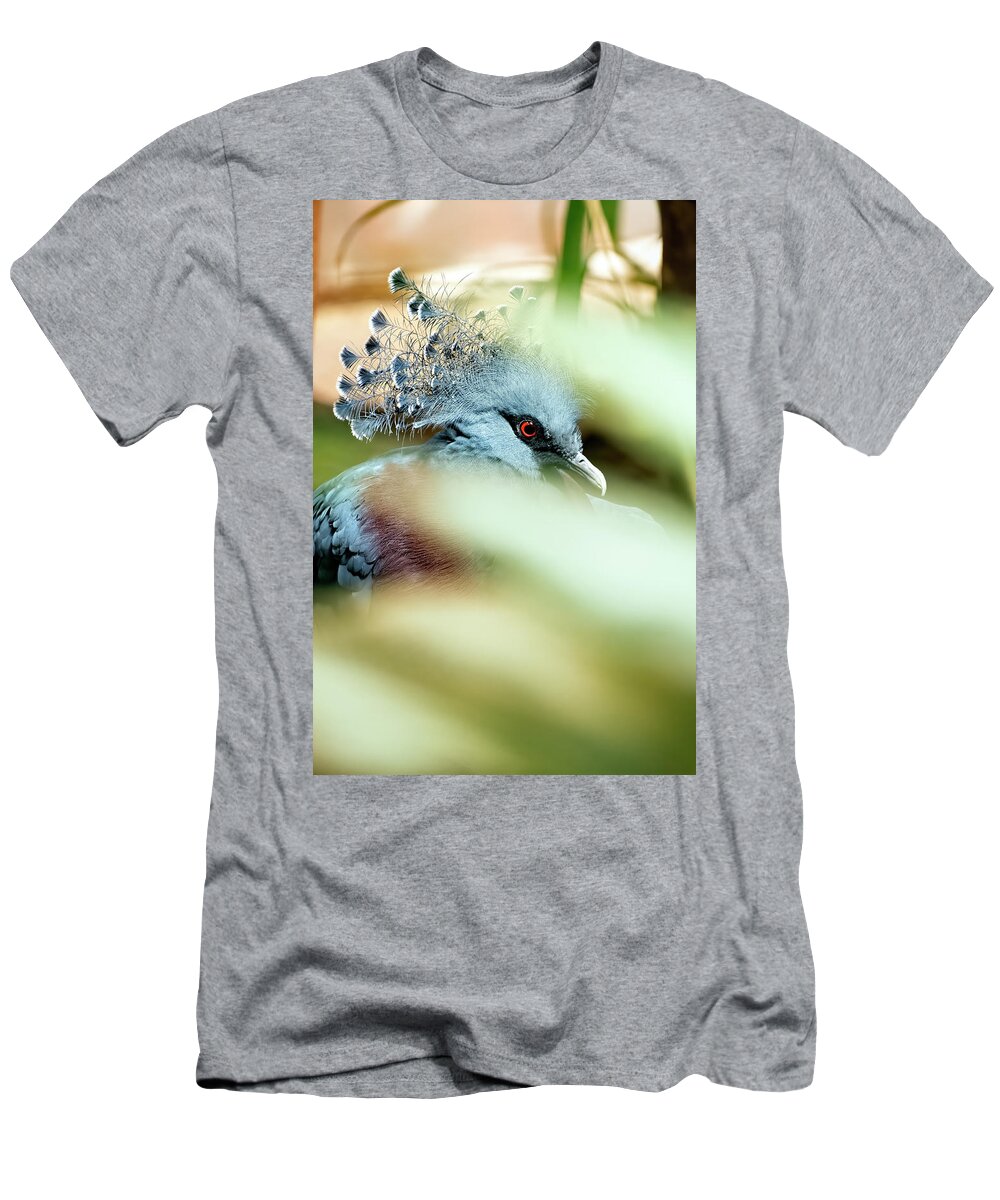 Pigeon T-Shirt featuring the photograph Victoria Crowned Pigeon by Kuni Photography
