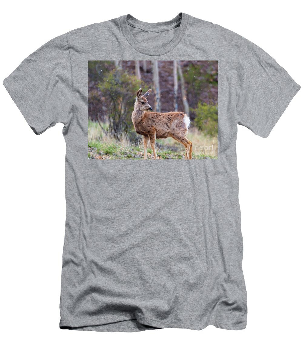 Deer T-Shirt featuring the photograph Wary Deer Herd on a Snowy Morning by Steven Krull
