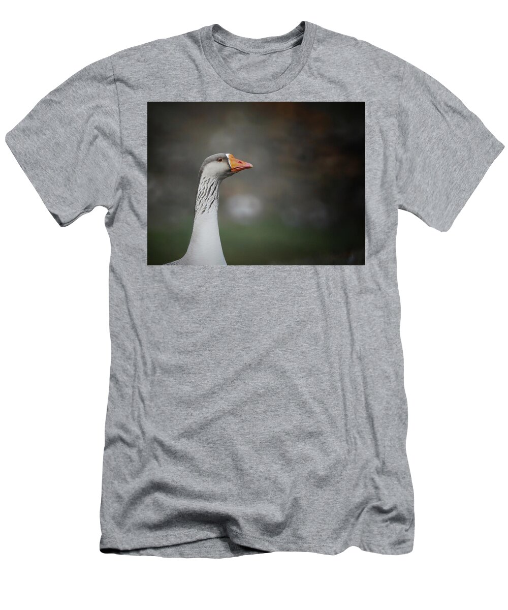  T-Shirt featuring the photograph Watching by DArcy Evans