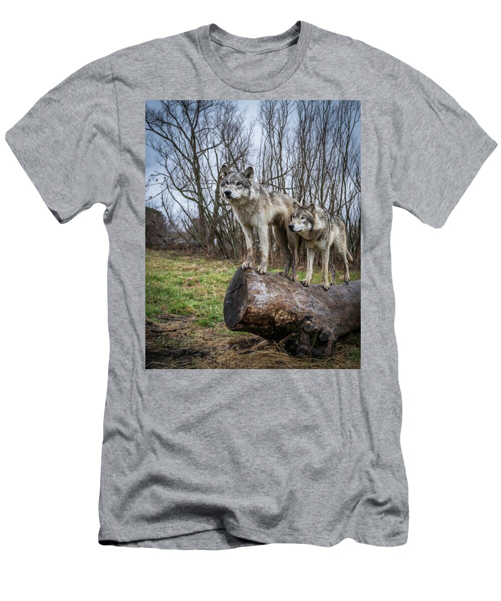 Wolves Wolf T-Shirt featuring the photograph What Ya Looking At by Laura Hedien