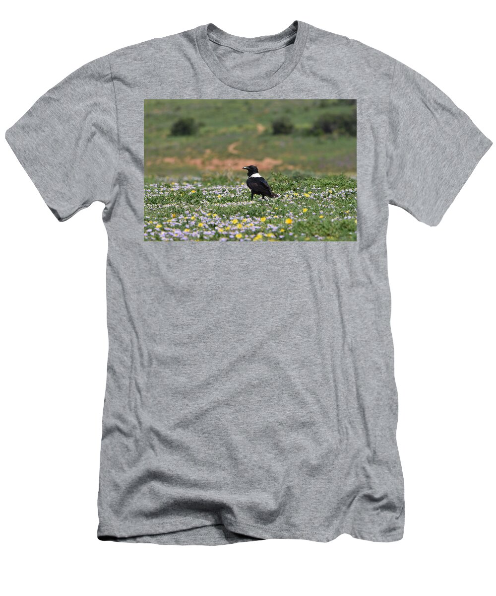 Raven T-Shirt featuring the photograph White Necked Raven by Ben Foster
